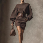 Brown Bodycon Mini Dress, Boat Neck Long Sleeve Casual Dress With Belt